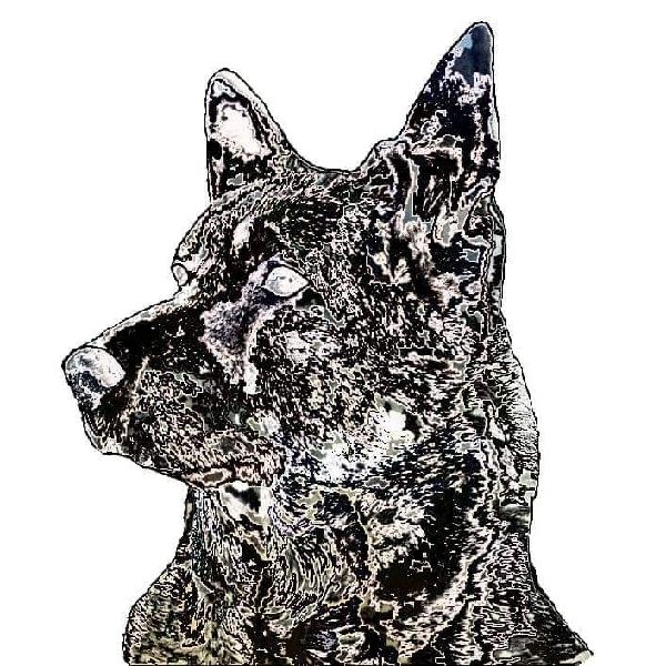 Fancy Fluff Grooming Logo